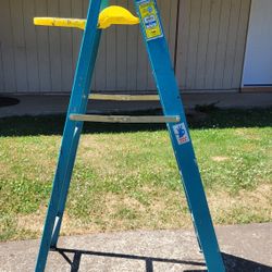 Werner Electro Master 6ft Ladder 