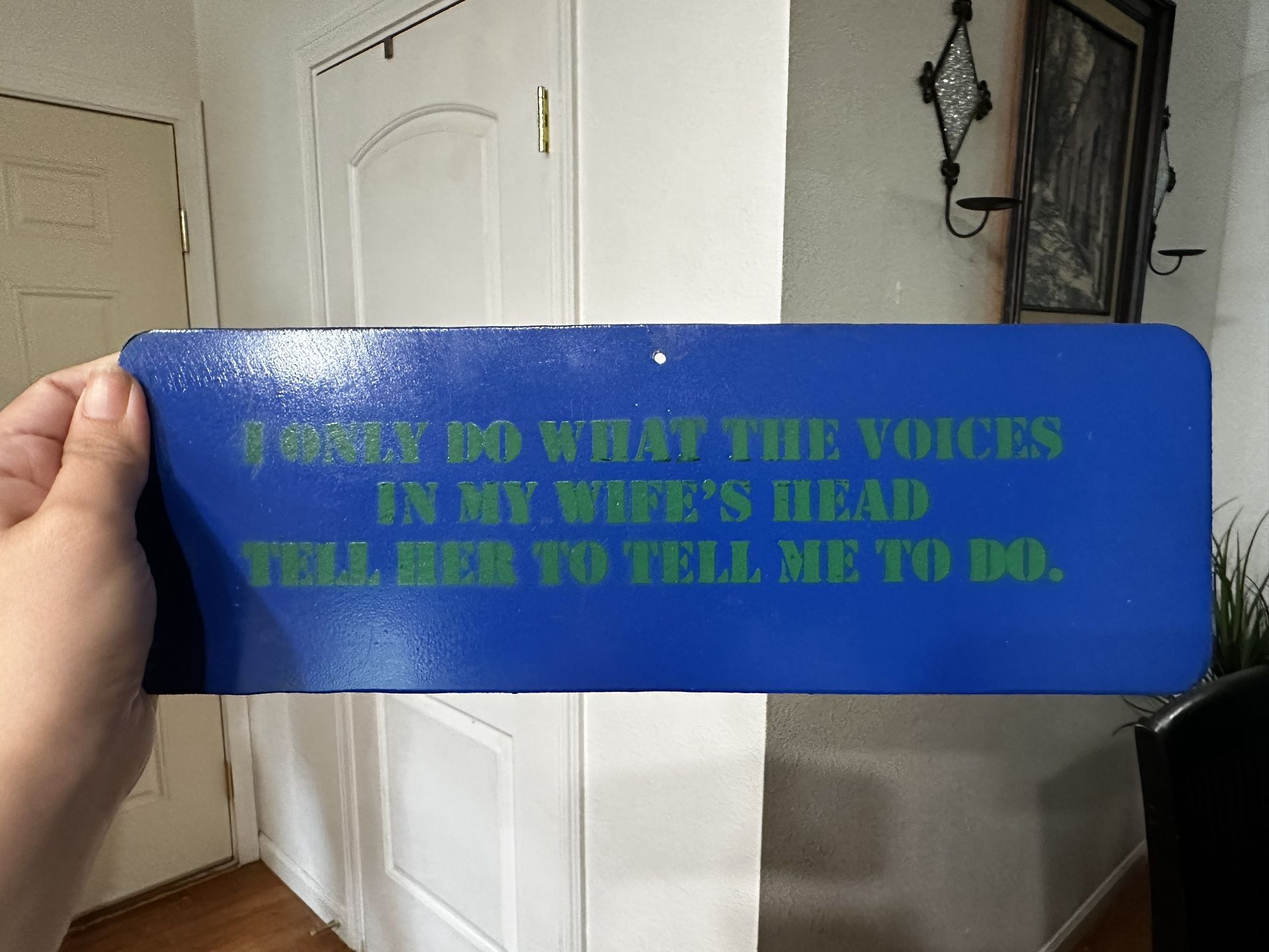 Funny Metal Wall Art Decor Gift