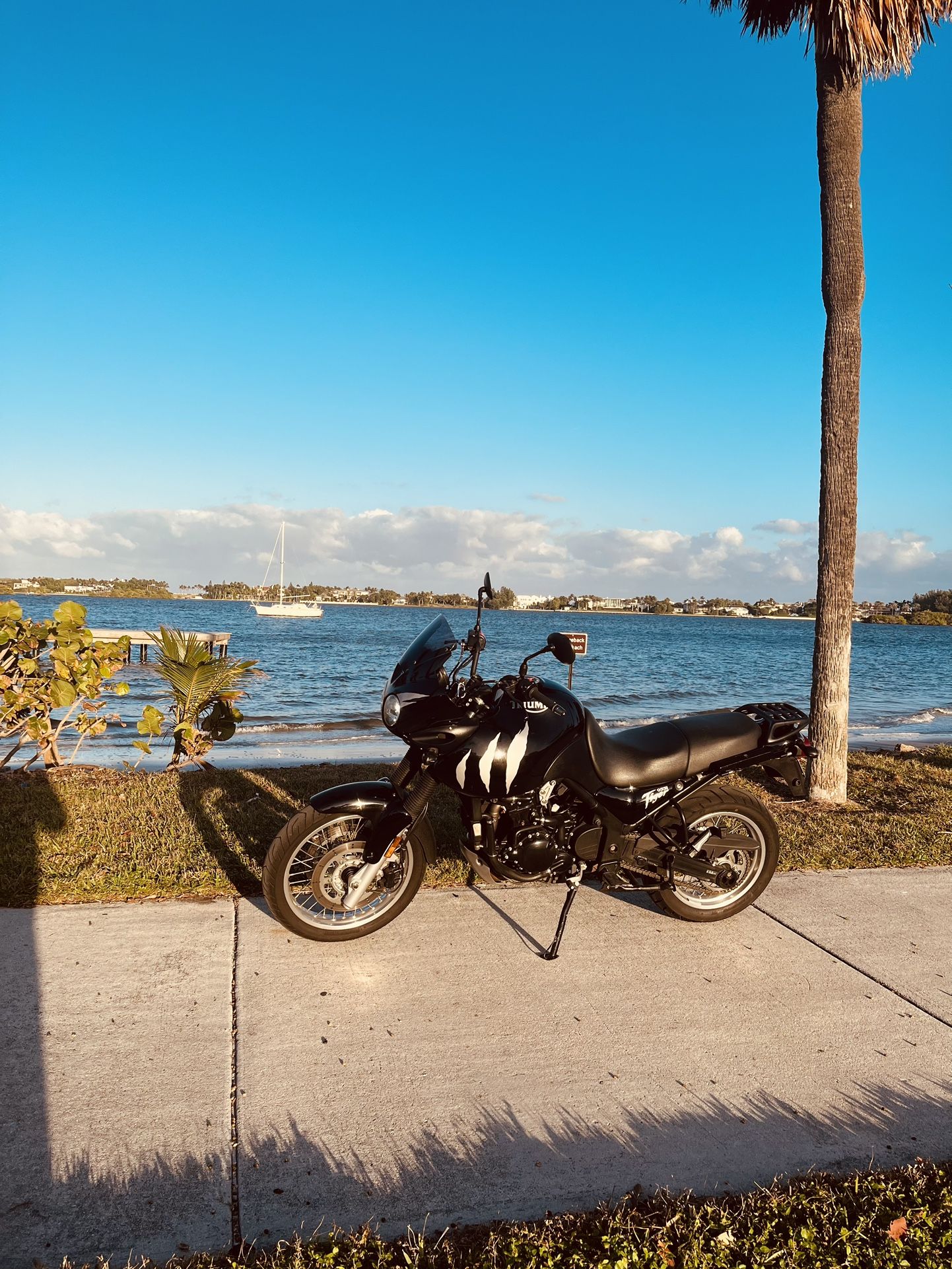 2002 Triumph Tiger 955i