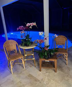 Serena and Lily Sun-washed Chairs