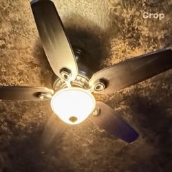 Ceiling Fan With Remote