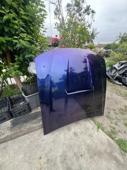 99-04 Mustang Gt Hood
