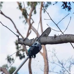 Makita XAU02ZB 36V (18V X2) LXT® Brushless 10" Telescoping Pole Saw, 13' Length, Tool Only