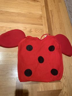 Ladybug Halloween costume 4T