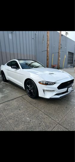 2023 Ford Mustang