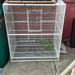 Bird cage
