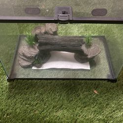 Glass Reptile Terrarium