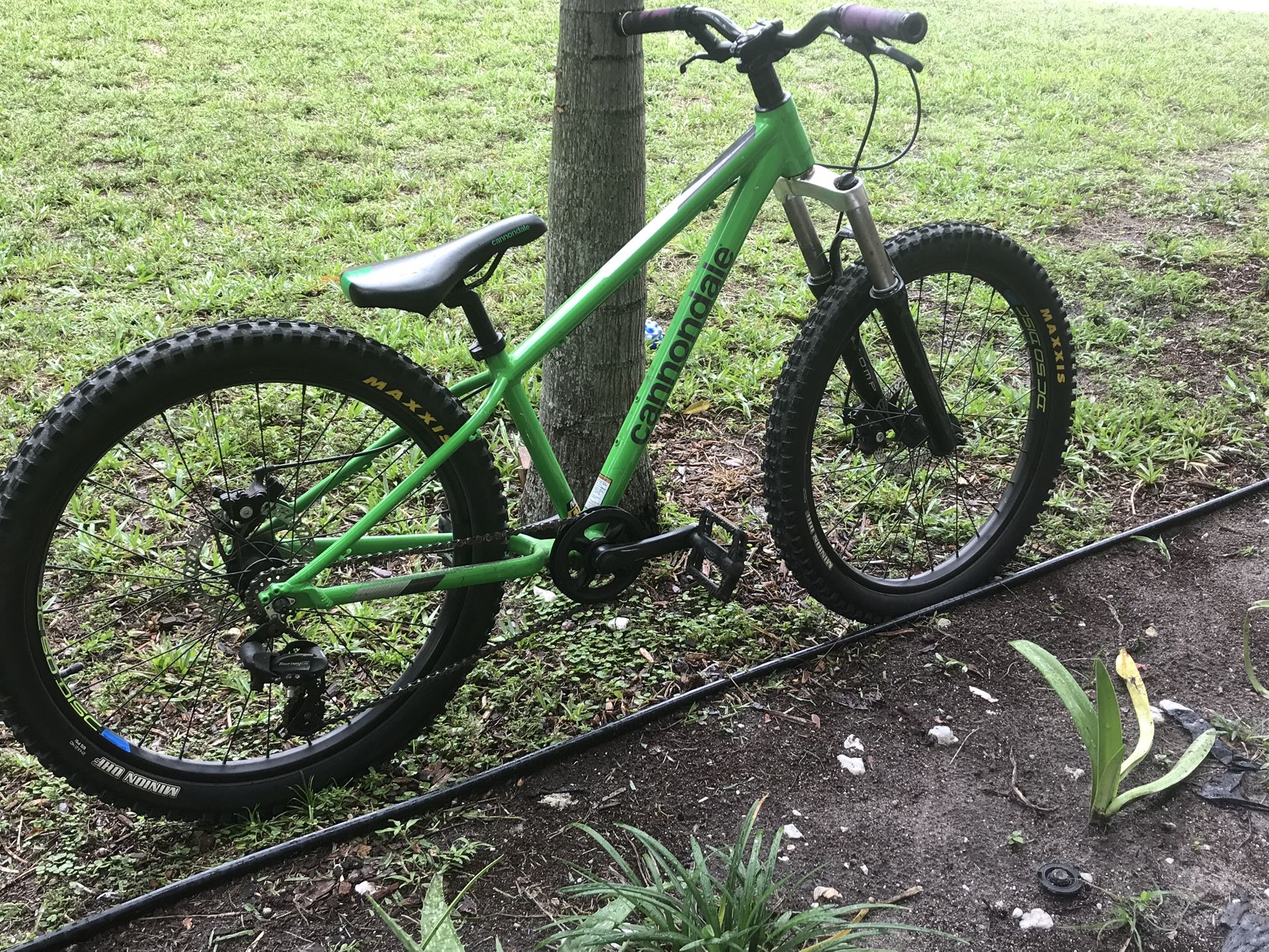 Cannondale Cujo Kids 24”