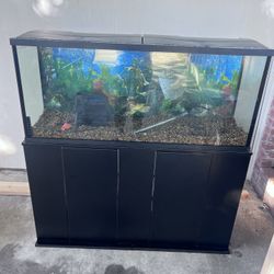 55 Gallon Aquarium 