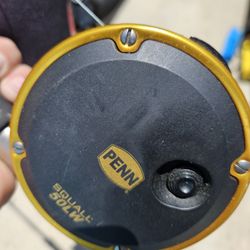 Penn Squall50lw