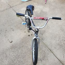 20 Inch Boys Bike