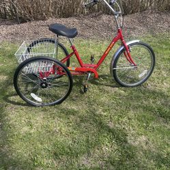 Adult bike