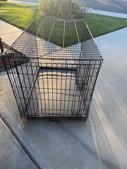 Large Dog Crate