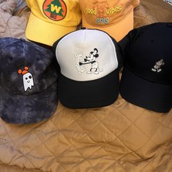 Disney Hat Lot