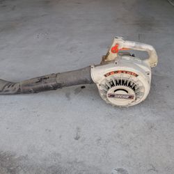 Echo Blower