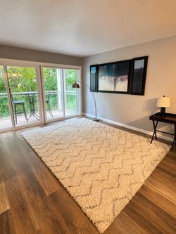 Large Area Rug