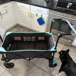Wagon Stroller