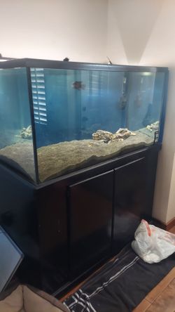 120 gallon fish tank 4x2