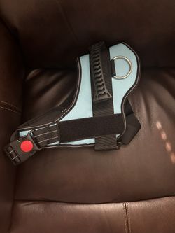 Dog Harness