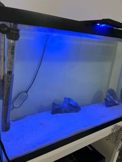 35 Gal Glass Aquarium Tank with LED Light and Filter