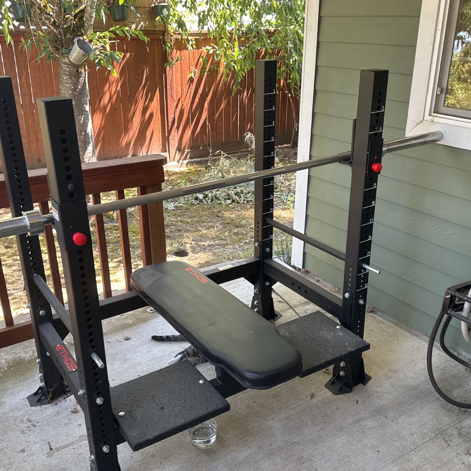Bench Press