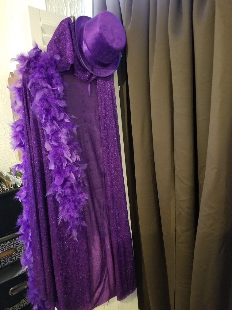 Purple Costume