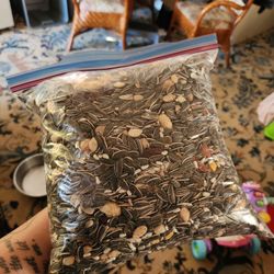Free Parrot Feed(peanuts and chiles)