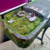 JPTerrain