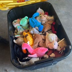 Beanie Babies