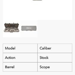 Gun Case