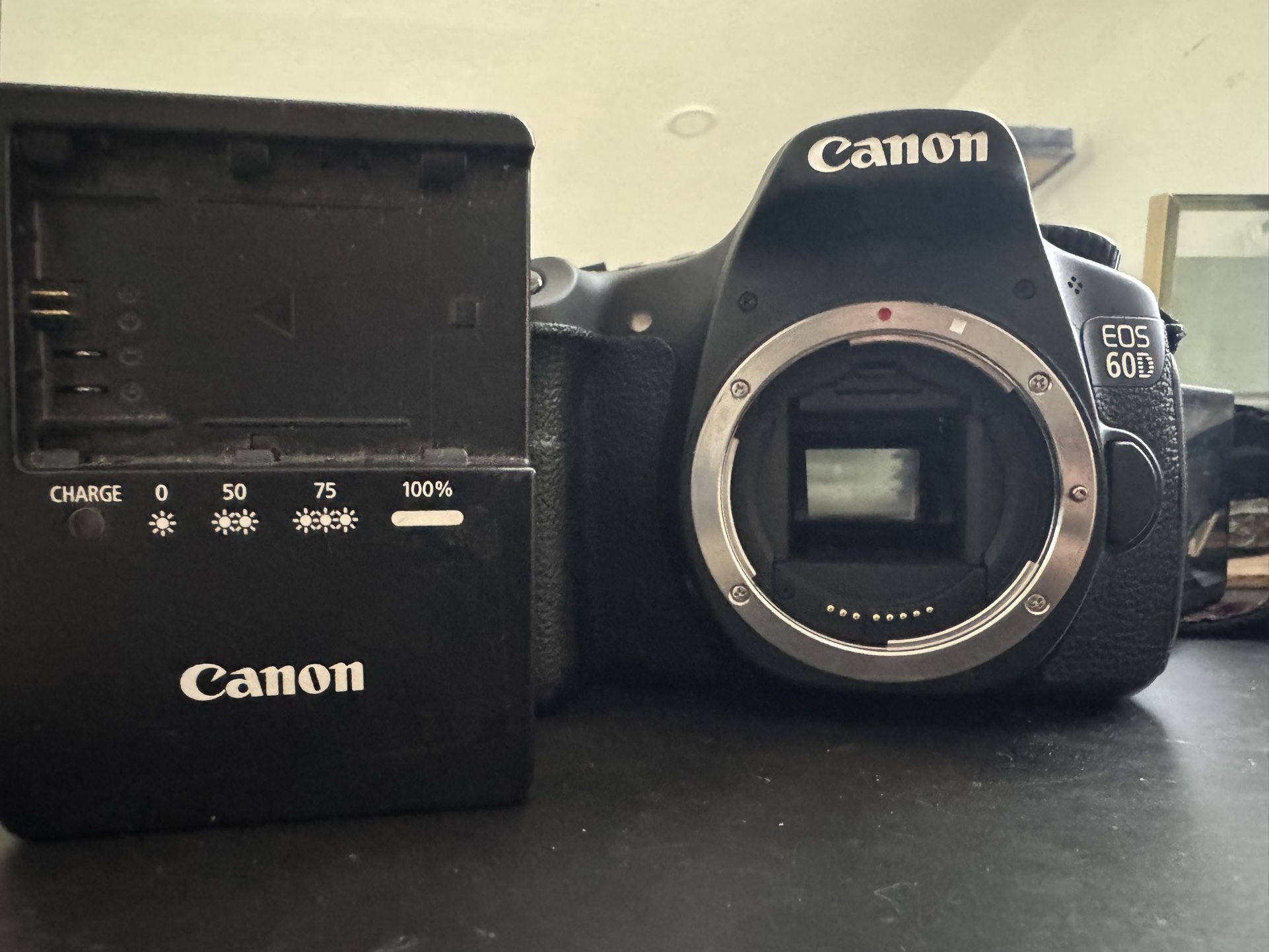 Canon EOS 60D