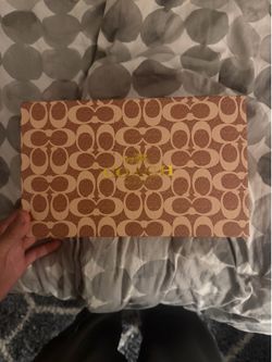 Coach bag cheap