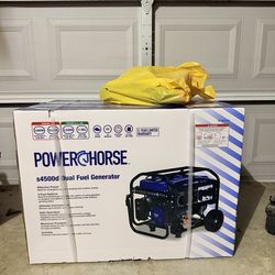 Generator BNIB
