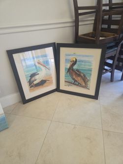 Pelican ocean view picture