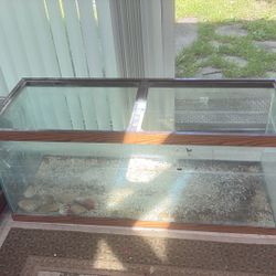 60-75 Gallon Aquarium