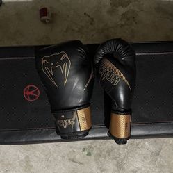 Kickboxing Gloves 