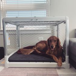 Premium & Foldable Dog Crate