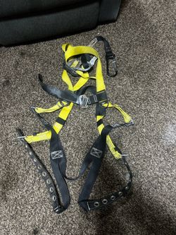 Guardian fall protection, harness