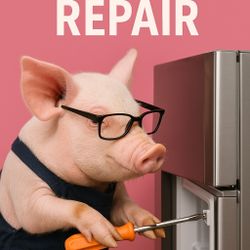 Washing Machine, Refrigerator 