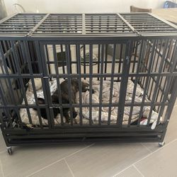 Crate Kennel