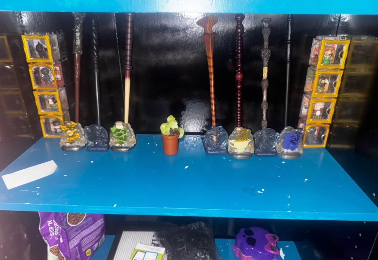 Harry Potter Lot