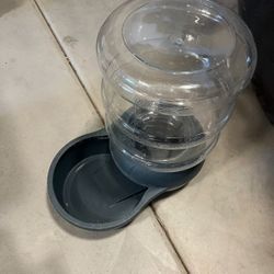 New Dog Water Bowl