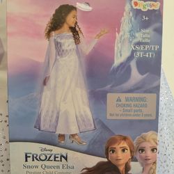 Frozen Queen Elsa Costume