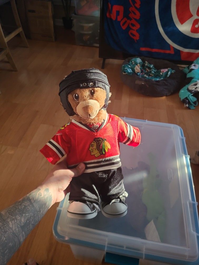 The Chicago Blackhawks Build A Bear NHL Hockey 16in Bear With Uniform & Helmet