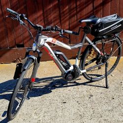 Trekking 9.0 Electric Bike 