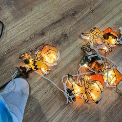 Peanuts Light Up Lights 