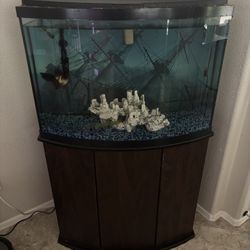 Bow Front Aquarium 