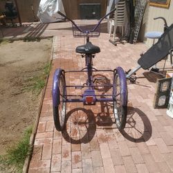 Old  Adult  Tracycle  Needs A  Little  Love  I ASK  $65.00 
