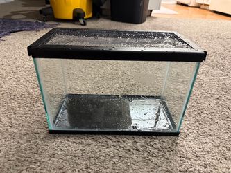 1 Gallon Tank