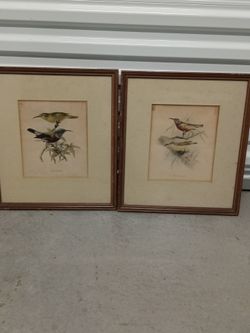 Bird frame collection